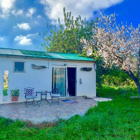 Little Cozy House With Big Pool 10x5 And Wifi In Ibiza * Santa Eulària des Riu