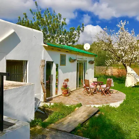 Little Cozy House With Big Pool 10x5 And Wifi In Ibiza Holiday home